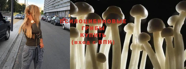мяу мяу мука Белокуриха